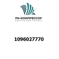 1096027770 480V 60HZ MOTOR