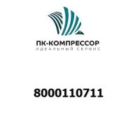 8000110711 ELEMENT FILTRANT DE GA012/A