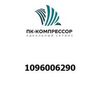 1096006290 END PANEL