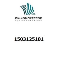 1503125101 CONNECTION