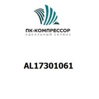 AL17301061 Hose  DN16x310 flow   61102