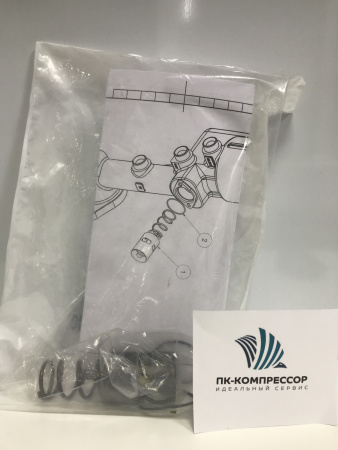 2901161600 THERMOSTAT KIT 40 DEGREE C (Набор Термостата)